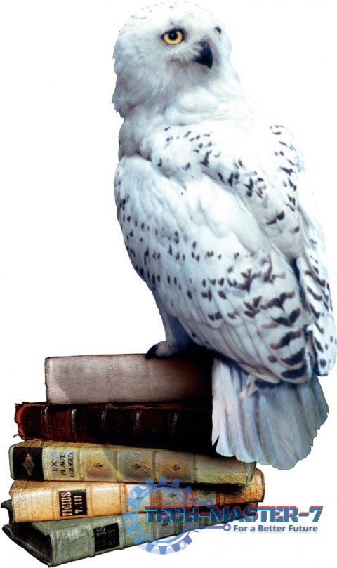 Gra Harry Potter i Czytacz Myśli Gra Harry Potter i Czytacz Myśli