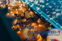 Inteligentne lampki LED Cluster 400 LED AWW girlanda, 6m, IP44, czarny przewód