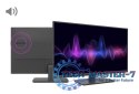 Monitor 31,5 cali VA-3201 HDMI DP VGA 24/7 czarny