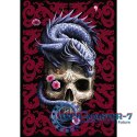 Puzzle 1000 elementów Orientalny Smok Anne Stokes