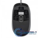 Mysz USB optyczna 2.9m Z3Q64AA
