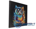 Obraz Crystal Art Sowa