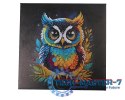 Obraz Crystal Art Sowa