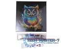 Obraz Crystal Art Sowa