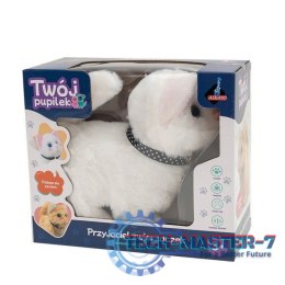 Maskotka interaktywna Twój pupilek - Kotek biały