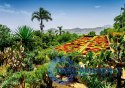 Puzzle 1000 elementów Ogród Botaniczny Madera Portugalia
