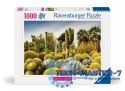 Puzzle 1000 elementów Ogród pustyni Huntington USA