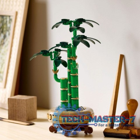 Klocki Botanicals 10344 Dracena sandera Klocki Botanicals 10344 Dracena sandera