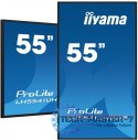 Monitor 54.6 cala ProLite LH5541UHS-B2 24/7 500cd 4K IPS