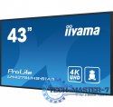 Monitor 42.5 cala ProLite LH4375UHS-B1AG, 24/7,IPS,ANDROID.11,4K,500cd/m2,WiFi,3xHDMI,DP,Daisy/Chain,2xUSB,2x10W,RJ45,iiSignage2