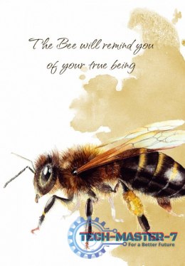Karty Tarot Power Animal Cards