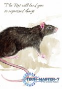 Karty Tarot Power Animal Cards