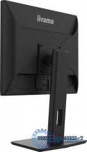 Monitor 19 cali B1980D-B5 DVI,VGA,PIVIOT,HAS/150mm,5:4