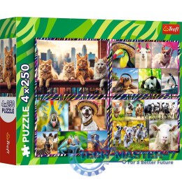 Puzzle 4x250 elementów Zabawne zwierzaki
