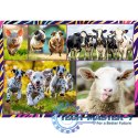 Puzzle 4x250 elementów Zabawne zwierzaki