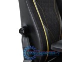 Fotel komputerowy GXT721 Ruya Pro Premium czarny