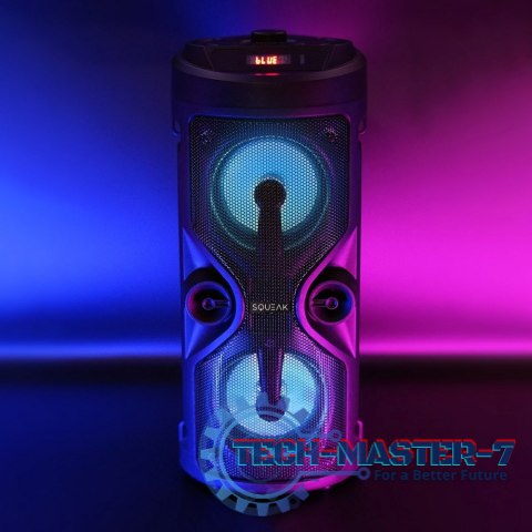 Głośnik Bluetooth 5.0 EDR Harmony SQ1004 Funkcja karaoke Głośnik Bluetooth 5.0 EDR Harmony SQ1004 Funkcja karaoke
