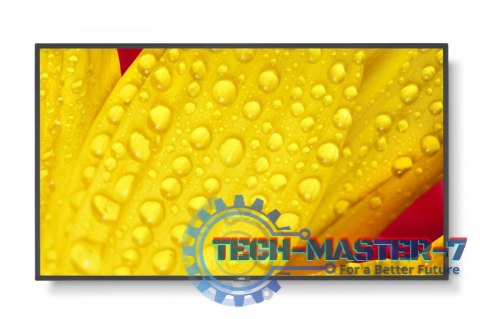 Monitor NEC 60006083 (43" /TFT IPS /60Hz /3840 × 2160 /Czarny )