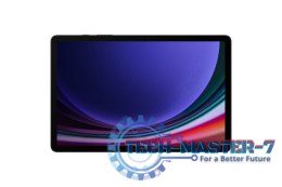 Tablet SAMSUNG Galaxy Tab S9 (X710) 12/256 GB Graphite (Grafitowy) (11