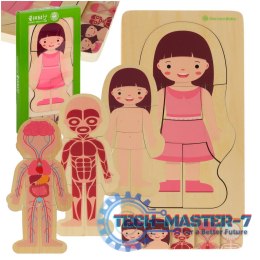 Puzzle drewniane warstwowe budowa ciała montessori dziewczynka