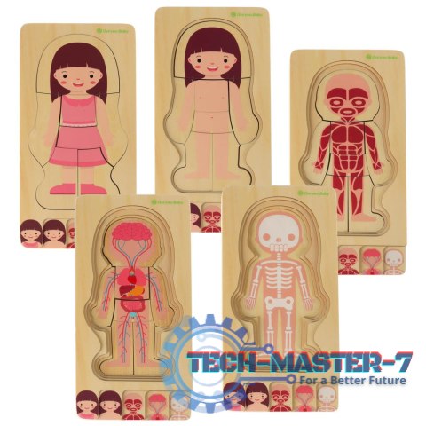 Puzzle drewniane warstwowe budowa ciała montessori dziewczynka Puzzle drewniane warstwowe budowa ciała montessori dziewczynka