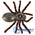 Pająk TARANTULA Zdalnie Sterowany robot na pilota + PILOT
