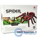 Pająk TARANTULA Zdalnie Sterowany robot na pilota + PILOT