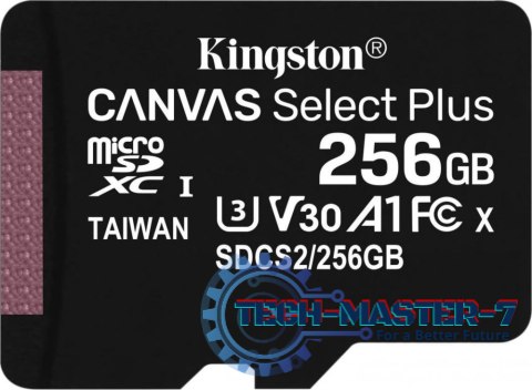 Karta pamięci KINGSTON 256 GB