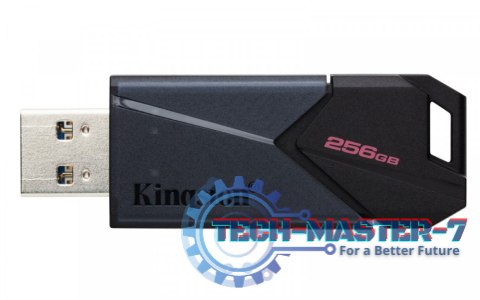Pendrive (Pamięć USB) KINGSTON (256 GB /Czarny )
