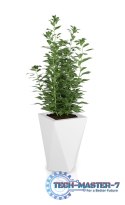 Designerska donica MONUMO VASO Biała MONUMO