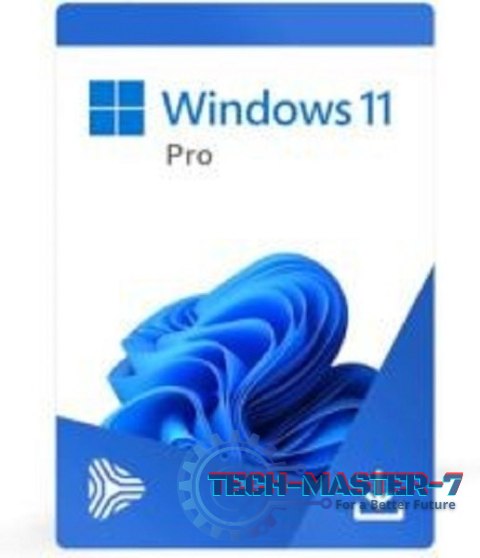 System operacyjny MICROSOFT Windows 11 Pro ENG 64-bit (OEM)