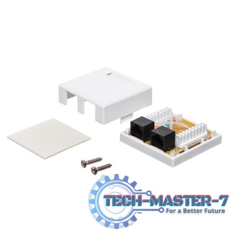 Netrack gniazdo kompletne natynkowe 2xRJ45 8p8c UTP Cat6 LSA Netrack gniazdo kompletne natynkowe 2xRJ45 8p8c UTP Cat6 LSA
