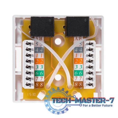 Netrack gniazdo kompletne natynkowe 2xRJ45 8p8c UTP Cat6 LSA Netrack gniazdo kompletne natynkowe 2xRJ45 8p8c UTP Cat6 LSA