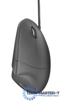 Mysz Verto