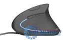 Mysz Verto