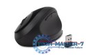 Bezprzewodowa mysz Pro Fit Ergo Black