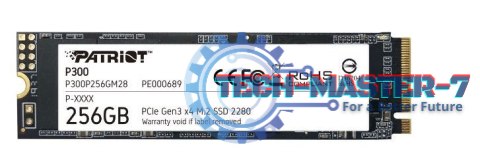 Dysk SSD P300 256GB M.2 PCIe Gen 3 x4 1700/1100