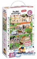 Puzzle obserwacyjne Stadnina koni