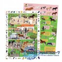 Puzzle obserwacyjne Stadnina koni