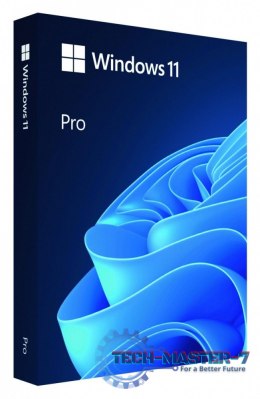 Windows Pro 11 64bit PL USB Flash Drive Box HAV-00209