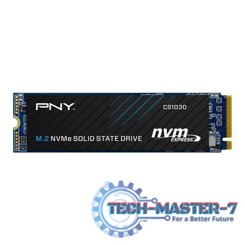 Dysk SSD 250GB M.2 2280 CS1030 M280CS1030-250-RB