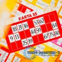 Gra Ludoteca Bingo