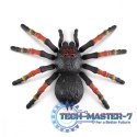 Figurka interaktywna Wielka Tarantula