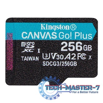 Karta microSD 256GB Canvas Go Plus 170/90MB/s