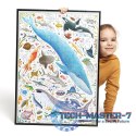 Puzzle Puzzlove Ryby i zwierzęta wodne 200 elementów