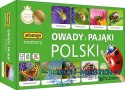Gra Owady i pająki Polski memory