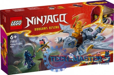 Klocki Ninjago 71810 Smoczątko Riyu