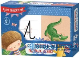 Gra Feluś i Gucio poznają literki