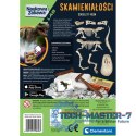 Zestaw Skamieniałości - T-Rex