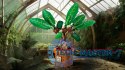 Klocki Harry Potter 76433 Mandragora